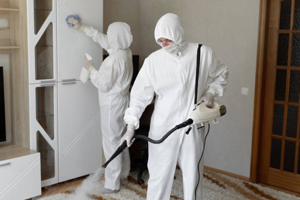 Best Mold Cleaning Services  in Ellsworth, KS