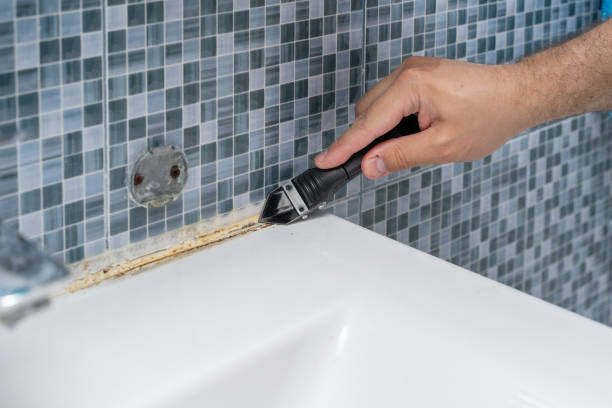 Best Mold Remediation Experts  in Ellsworth, KS