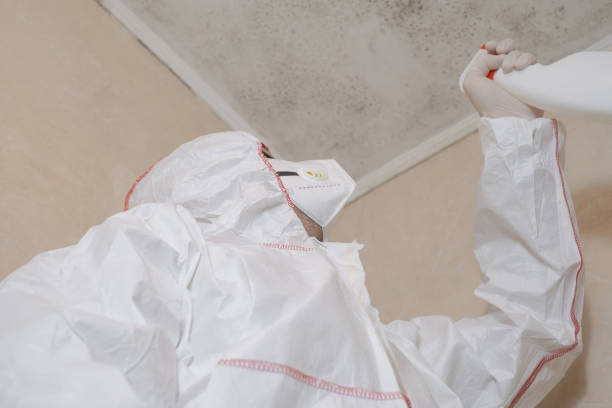 Crawl Space Mold Removal in Ellsworth, KS