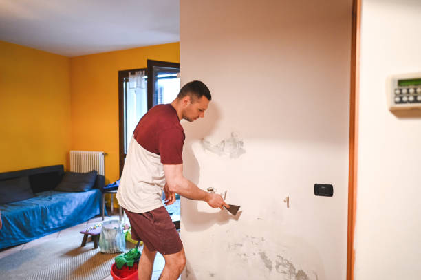 Best Commercial Mold Removal  in Ellsworth, KS