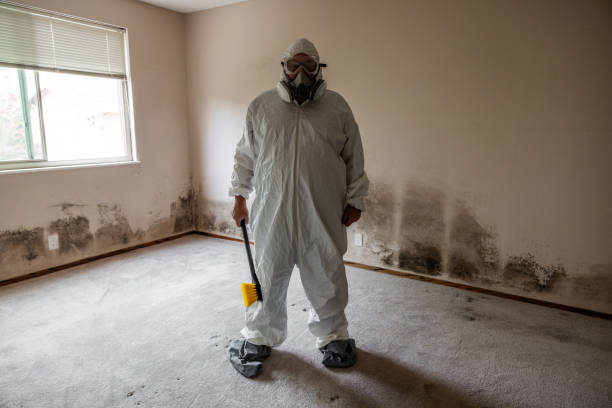 Best Home Mold Removal  in Ellsworth, KS